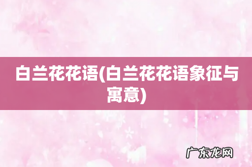 白兰花花语象征与寓意 白兰花花语