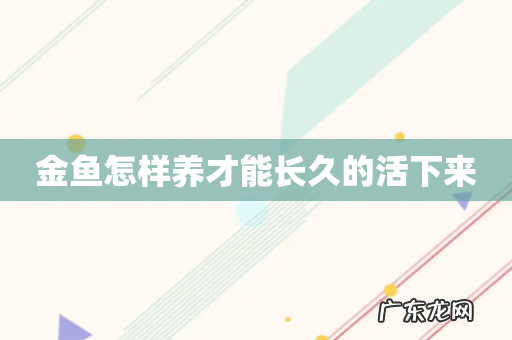 金鱼怎样养才能长久的活下来