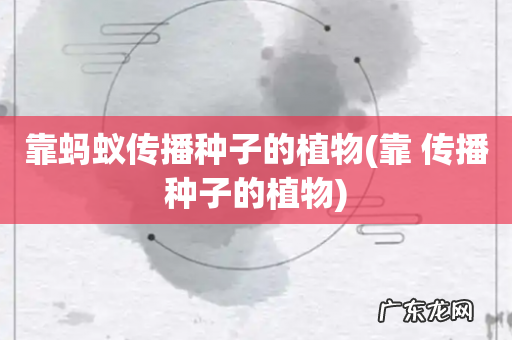 靠 传播种子的植物 靠蚂蚁传播种子的植物