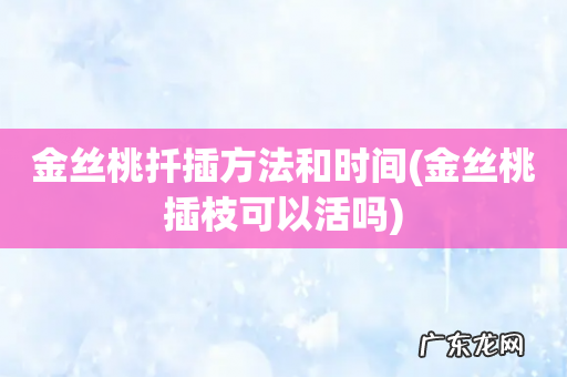 金丝桃插枝可以活吗 金丝桃扦插方法和时间