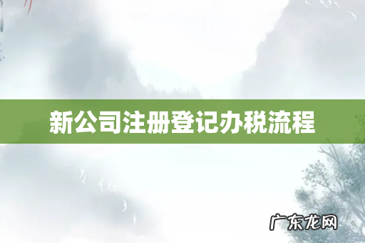 新公司注册登记办税流程