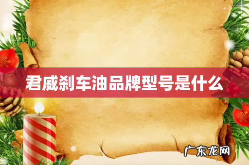 君威刹车油品牌型号是什么