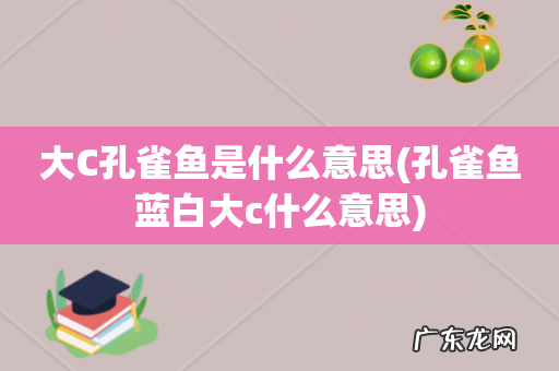 孔雀鱼蓝白大c什么意思 大C孔雀鱼是什么意思
