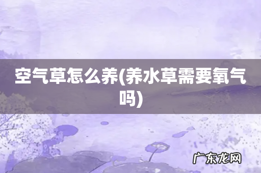 养水草需要氧气吗 空气草怎么养