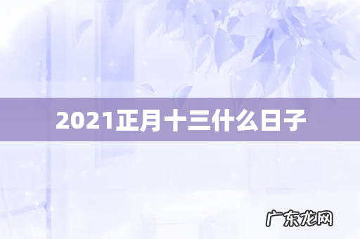 2021正月十三什么日子