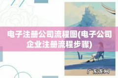 电子公司企业注册流程步骤 电子注册公司流程图