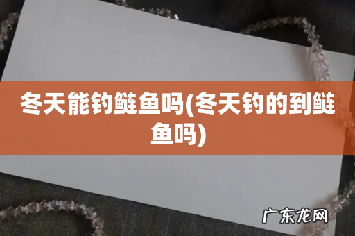 冬天钓的到鲢鱼吗 冬天能钓鲢鱼吗