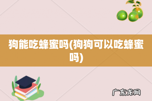 狗狗可以吃蜂蜜吗 狗能吃蜂蜜吗