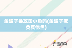 金波子欺负其他鱼 金波子会攻击小鱼吗