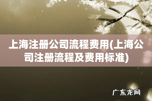 上海公司注册流程及费用标准 上海注册公司流程费用