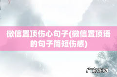 微信置顶语的句子简短伤感 微信置顶伤心句子