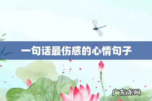 一句话最伤感的心情句子