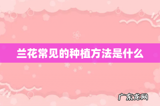 兰花常见的种植方法是什么