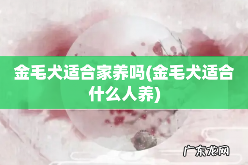 金毛犬适合什么人养 金毛犬适合家养吗