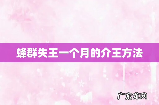 蜂群失王一个月的介王方法