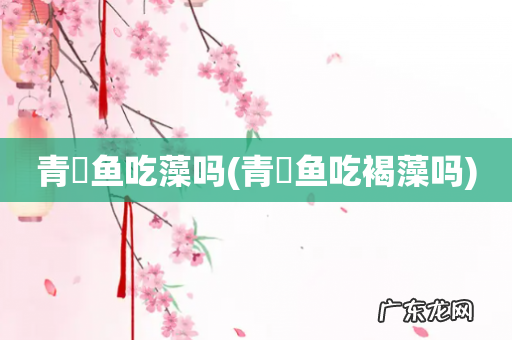青鳉鱼吃褐藻吗 青鳉鱼吃藻吗