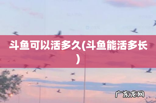 斗鱼能活多长 斗鱼可以活多久