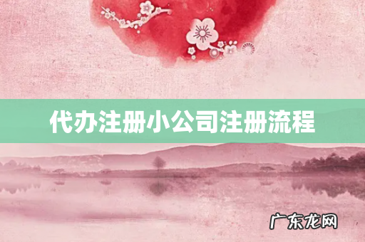 代办注册小公司注册流程