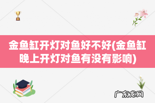 金鱼缸晚上开灯对鱼有没有影响 金鱼缸开灯对鱼好不好