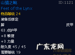 坏蛋联盟 盗贼联盟