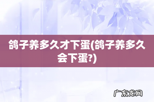鸽子养多久会下蛋? 鸽子养多久才下蛋
