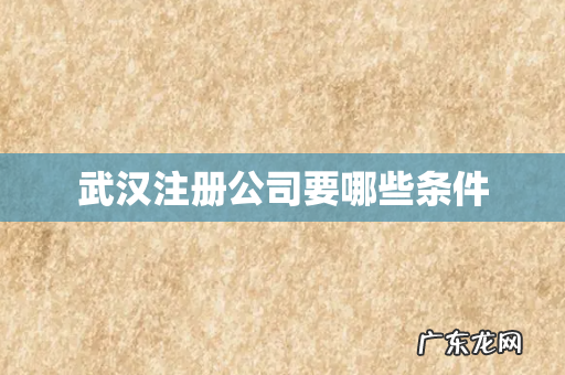 武汉注册公司要哪些条件