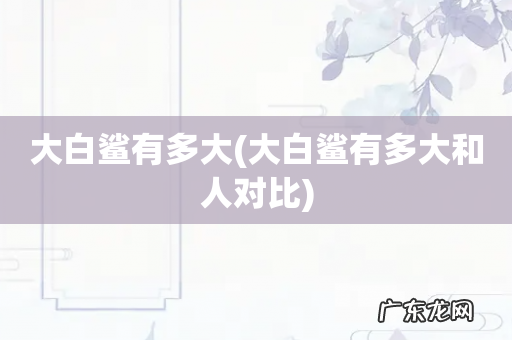 大白鲨有多大和人对比 大白鲨有多大