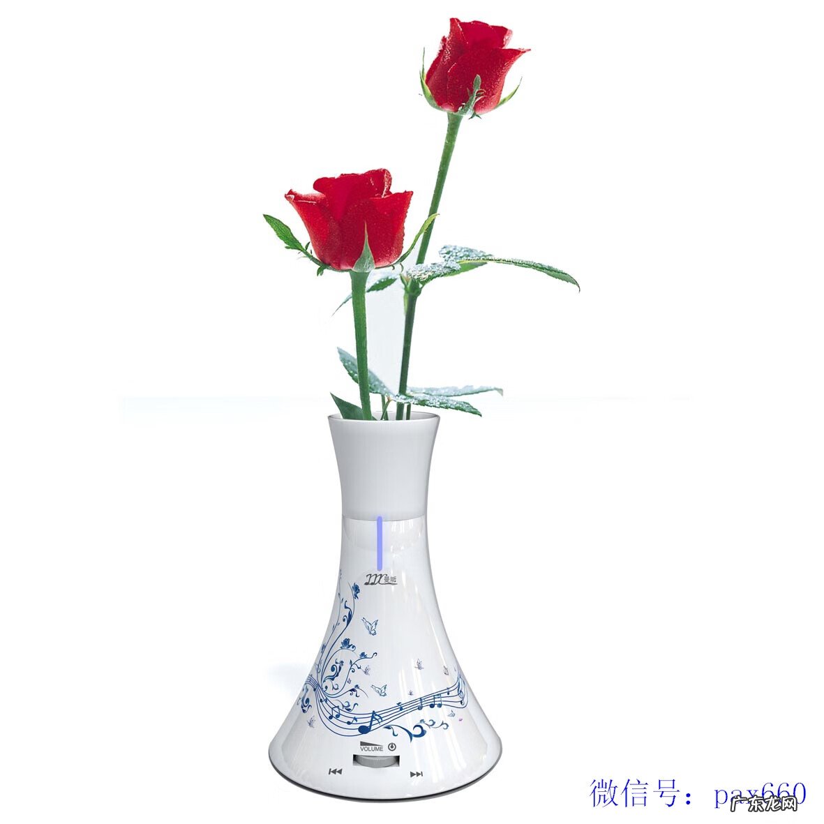 什么形状的花瓶风水好 花瓶放什么花更好风水