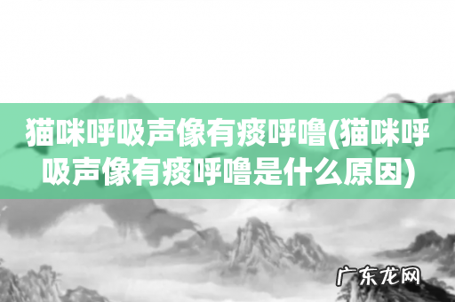 猫咪呼吸声像有痰呼噜是什么原因 猫咪呼吸声像有痰呼噜