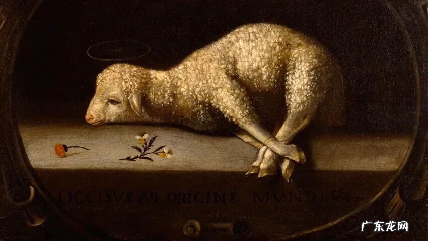 宅基地一头大一头小怎么破解 宅子一头大一头小好吗