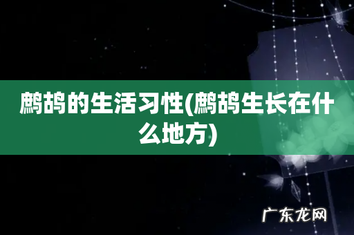 鹧鸪生长在什么地方 鹧鸪的生活习性
