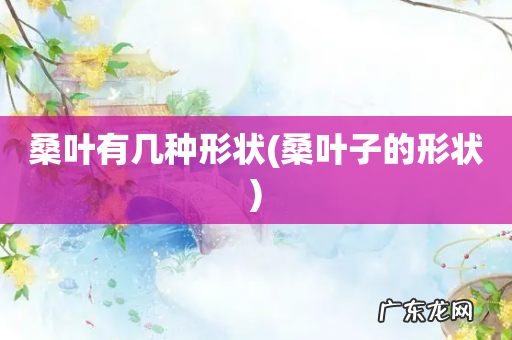 桑叶子的形状 桑叶有几种形状