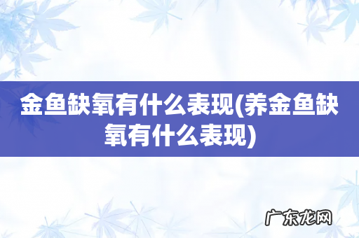 养金鱼缺氧有什么表现 金鱼缺氧有什么表现