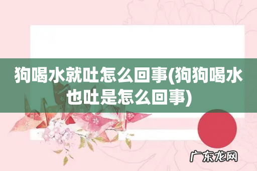 狗狗喝水也吐是怎么回事 狗喝水就吐怎么回事