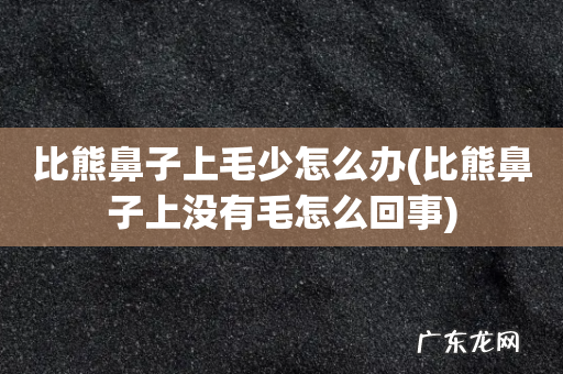 比熊鼻子上没有毛怎么回事 比熊鼻子上毛少怎么办