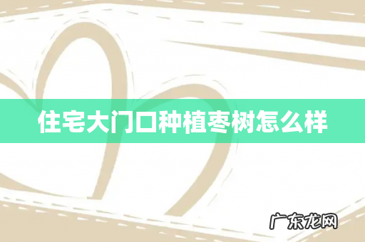 住宅大门口种植枣树怎么样