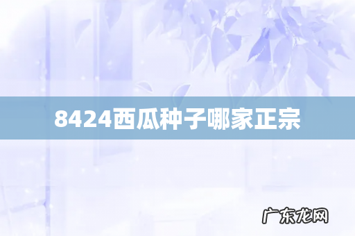 8424西瓜种子哪家正宗