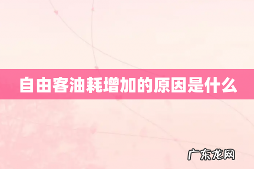 自由客油耗增加的原因是什么