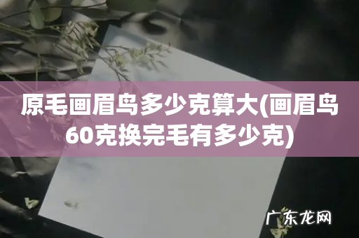 画眉鸟60克换完毛有多少克 原毛画眉鸟多少克算大