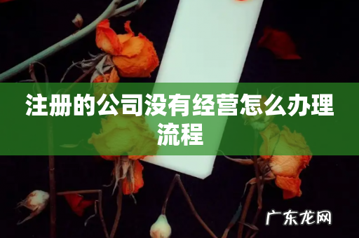 注册的公司没有经营怎么办理流程