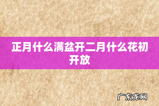 正月什么满盆开二月什么花初开放