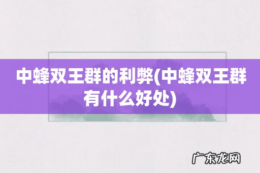 中蜂双王群有什么好处 中蜂双王群的利弊