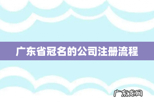 广东省冠名的公司注册流程