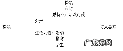 疯狂的松鼠故事简介 疯狂的松鼠作文