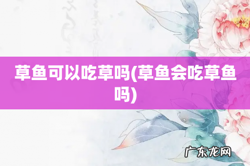 草鱼会吃草鱼吗 草鱼可以吃草吗