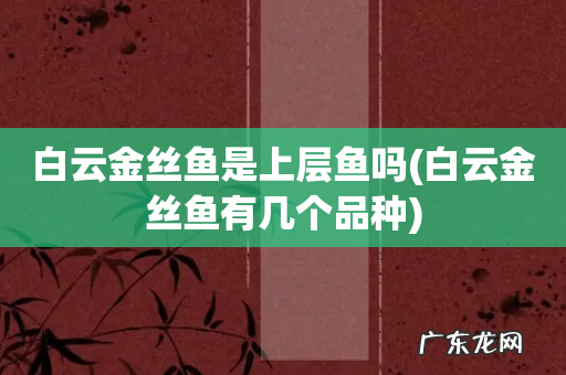 白云金丝鱼有几个品种 白云金丝鱼是上层鱼吗