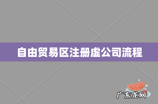 自由贸易区注册虚公司流程