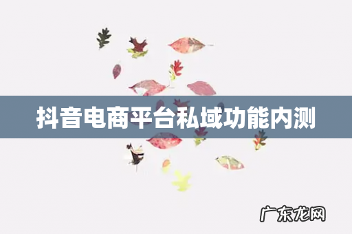抖音电商平台私域功能内测