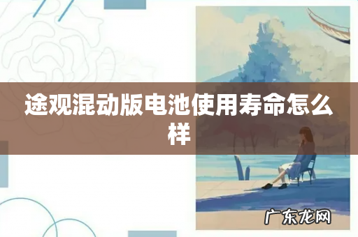 途观混动版电池使用寿命怎么样