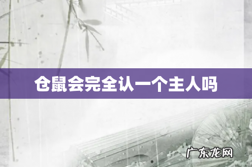 仓鼠会完全认一个主人吗